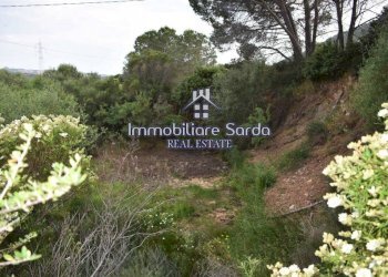 Terreno - Rustico Palau - foto 5