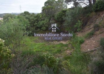 Terreno - Rustico Palau - foto 6