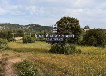 Terreno - Rustico Palau - foto 7