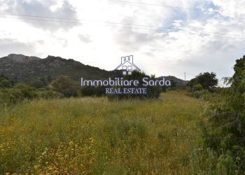 Terreno - Rustico Palau - foto 9