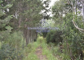 Terreno - Rustico Palau - foto 10