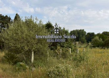 Terreno - Rustico Palau - foto 12