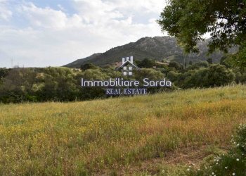 Terreno - Rustico Palau - foto 14