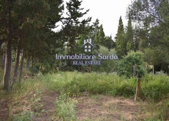Terreno - Rustic Palau - photo 18