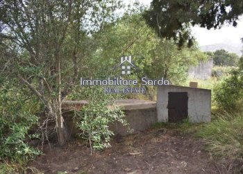 Giardino - Rustico Palau - foto 19