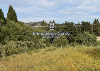 Terreno - Rustico Palau - foto 20