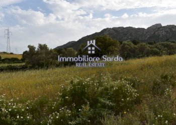 Terreno - Rustic Palau - photo 22