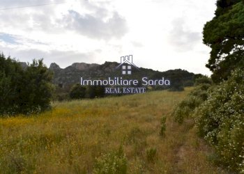 Terreno - Rustic Palau - photo 24