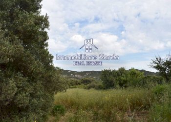 Terreno - Rustic Palau - photo 25