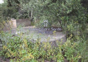 Terreno - Rustico Palau - foto 26