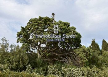 Terreno - Rustic Palau - photo 27
