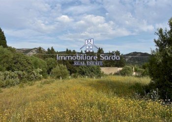 Terreno - Rustico Palau - foto 28