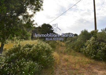 Terreno - Rustico Palau - foto 29