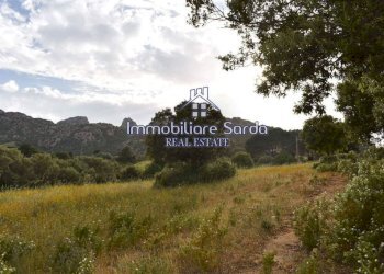 Terreno - Rustico Palau - foto 30