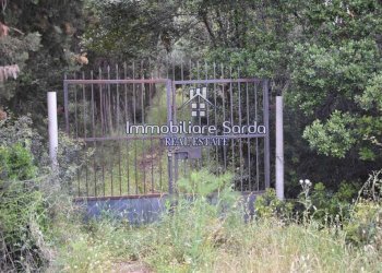 Terreno - Rustic Palau - photo 31