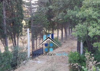Terreno - Rustic Palau - photo 32