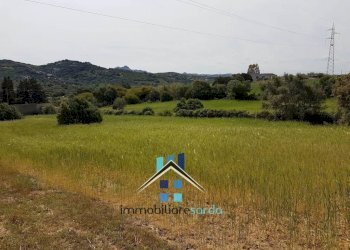 Terreno - Rustico Palau - foto 33