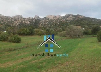 Terreno - Rustico Palau - foto 35