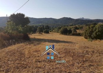 Terreno - Rustic Palau - photo 36
