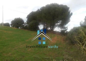 Terreno - Rustic Palau - photo 37