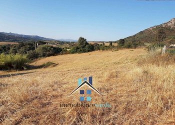 Terreno - Rustico Palau - foto 39