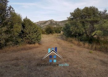 Terreno - Rustic Palau - photo 40