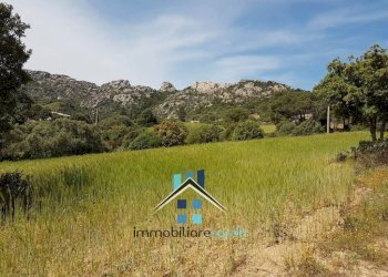 Terreno - Rustic Palau - photo 41