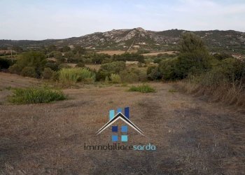 Terreno - Rustic Palau - photo 42