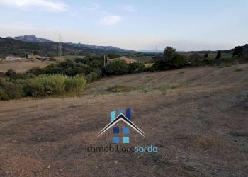 Terreno - Rustico Palau - foto 44