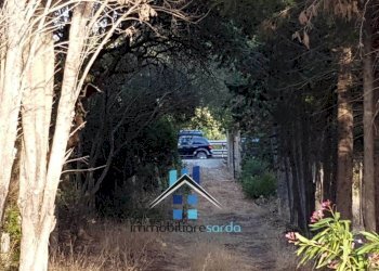 Terreno - Rustico Palau - foto 45