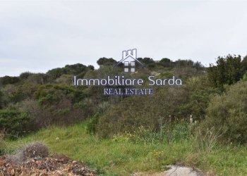 Terreno - Terreno edificabile Statale 133bis di Palau, Santa Teresa Gallura - foto 5