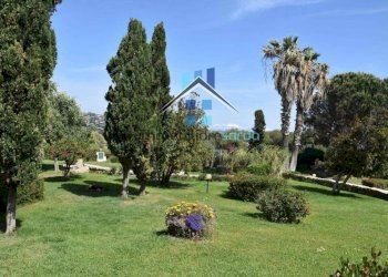 Giardino - Bilocale Palau - foto 24