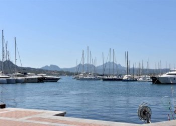 Zona - Terreno agricolo Arzachena - foto 10