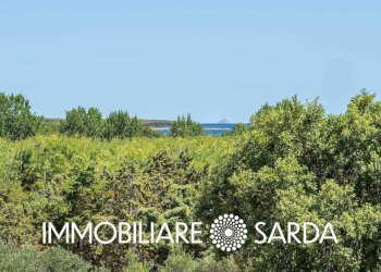 Terreno - Quadrilocale via Piemonte, Budoni - foto 28