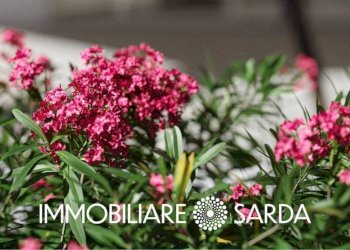 Altro - Villa a Schiera via Amendola, Budoni - foto 9