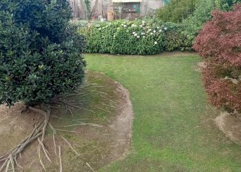 Appartamento Villafranca Piemonte - foto 4