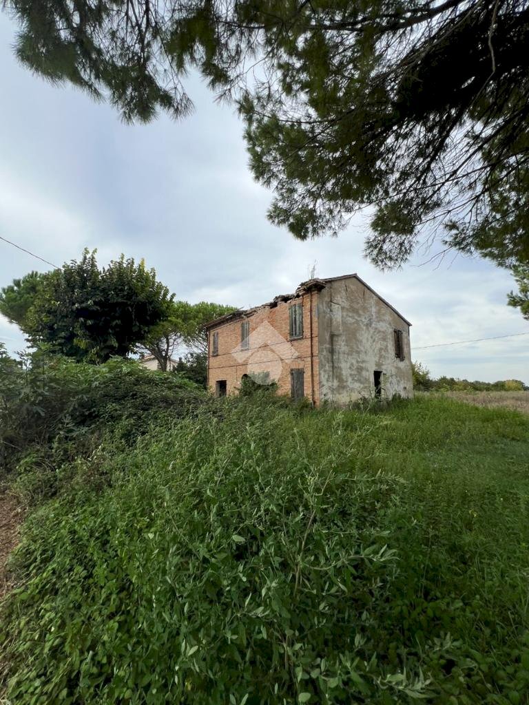 Rustic Via Manfredi, Cervia - photo 3