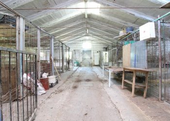 Villa Via Casiglie Str. Bassa, Sassuolo - foto 23