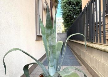 Two-room apartment Via Piave, Senago - photo 18