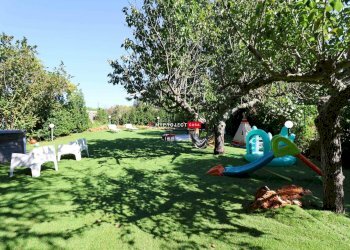 Trullo Strada Mele, Martina Franca - foto 2