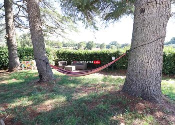 Trullo Strada Mele, Martina Franca - foto 14