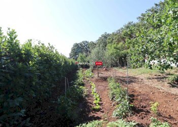 Trullo Strada Mele, Martina Franca - foto 16
