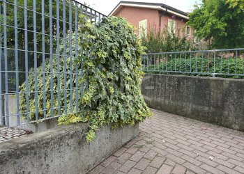 Apartment Ozzano dell'Emilia - photo 27