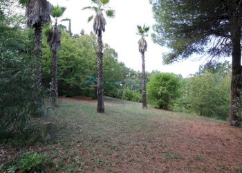 Foto 14 - Villa Colonnella - foto 14