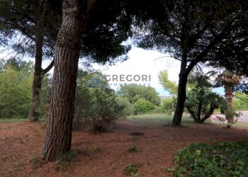 Foto 15 - Villa Colonnella - foto 15