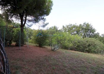 Foto 16 - Villa Colonnella - foto 16