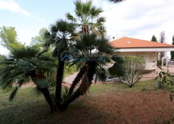 Foto 64 - Villa Colonnella - foto 64