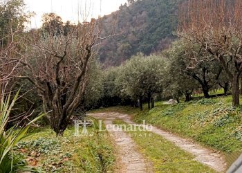 Foto 4 - Casa indipendente Via Strinato, Pietrasanta - foto 4