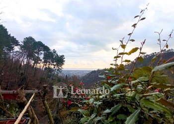 Foto 9 - Casa indipendente Via Strinato, Pietrasanta - foto 9