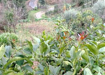 Foto 24 - Casa indipendente Via Strinato, Pietrasanta - foto 24